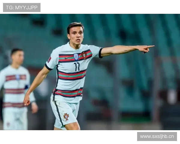 帕利尼亚大范围覆盖能力解析