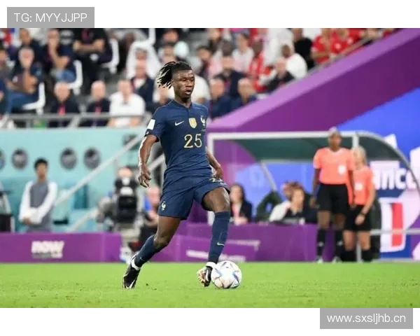 卡马文加:法国国家队中场新生代重要拼图