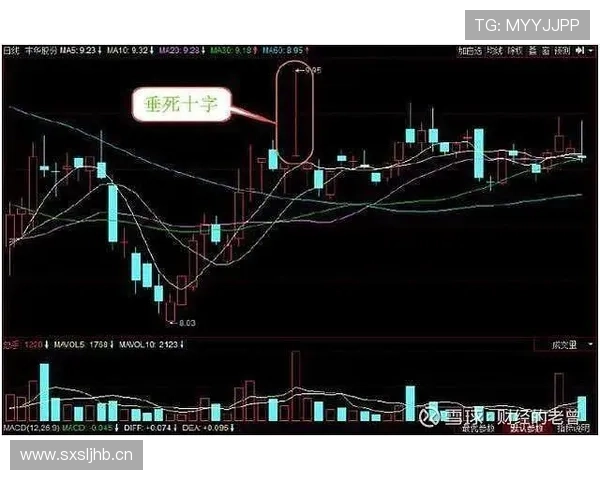这招看懂三分球判定规则，新手也能准确判断